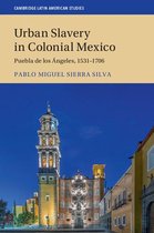 Cambridge Latin American Studies 109 - Urban Slavery in Colonial Mexico