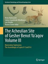 Vertebrate Paleobiology and Paleoanthropology 6 - The Acheulian Site of Gesher Benot Ya‘aqov Volume III
