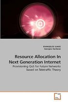 Resource Allocation In Next Generation Internet