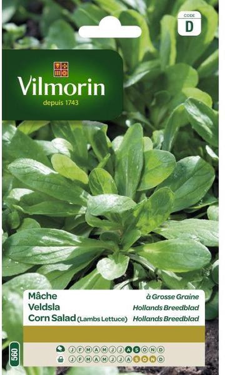 Veldsla Hollands breedblad 15 g- V560- Vilmorin