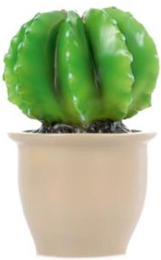 Heico Lamp Cactus In Bloempot