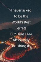 I never asked to be the World's Best Ferrets But Here I Am Absolutely Crushing it.