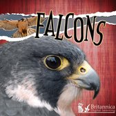 Raptors - Falcons