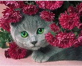 Eagle® Diamond Painting Volwassenen - Diamond Painting Kinderen - Poes met Bloemen - 40x30cm