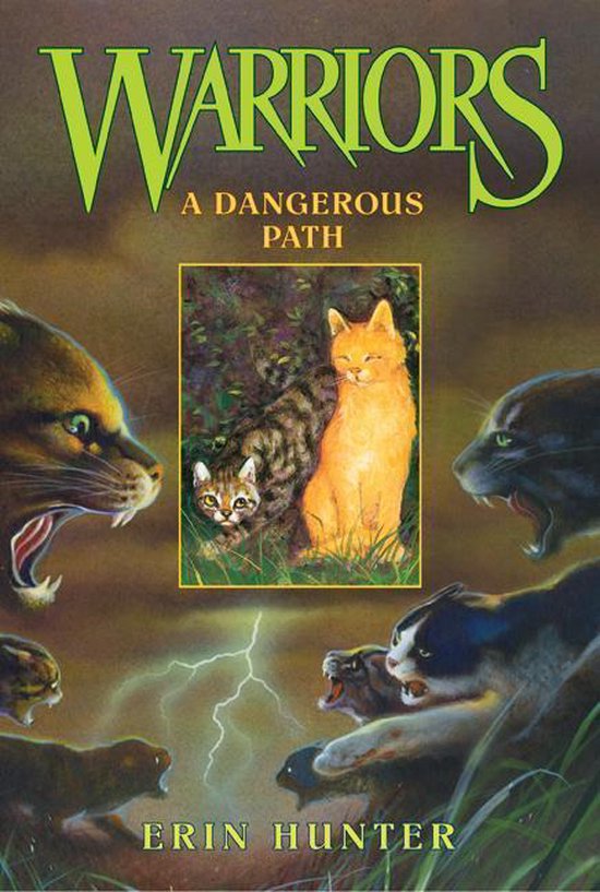 A Dangerous Path - cover