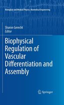 Biological and Medical Physics, Biomedical Engineering - Biophysical Regulation of Vascular Differentiation and Assembly