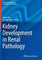 Kidney Development in Renal Pathology