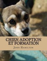 Chien Adoption Et Formation