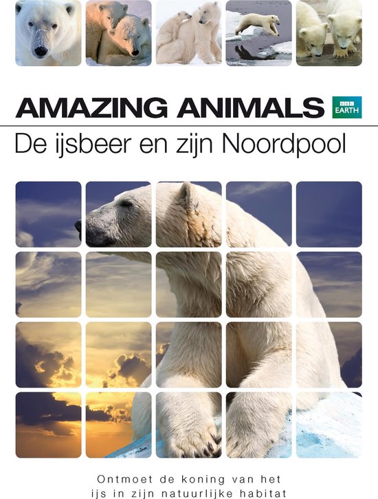 BBC Earth - Amazing Animals: De IJsbeer