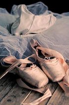 Pink Ballet Slippers with Tutu