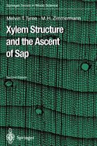 Xylem Structure and the Ascent of Sap