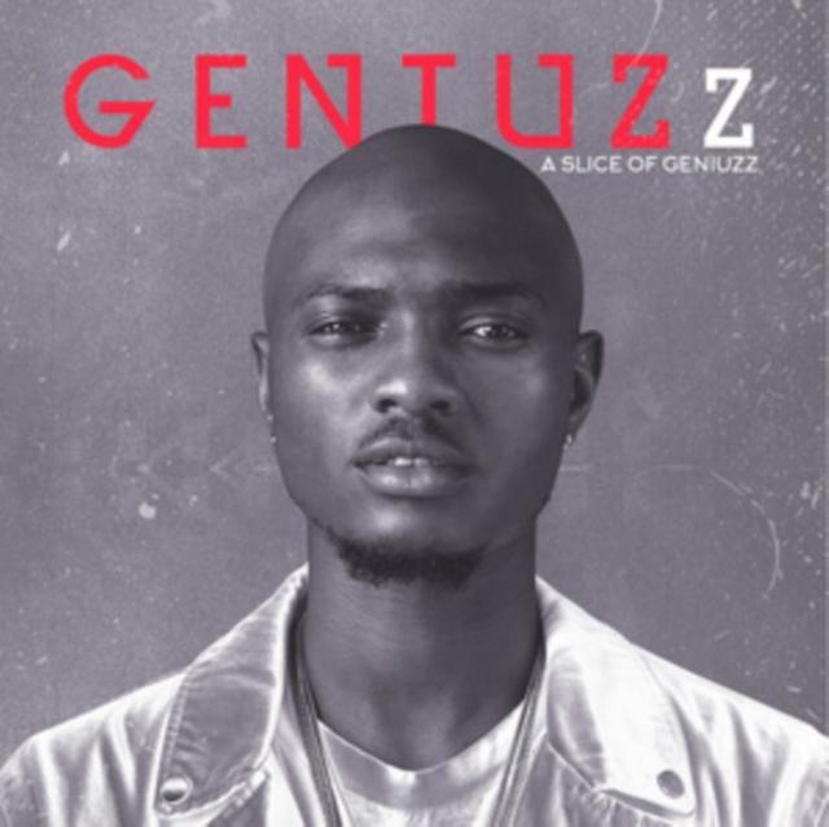 A Slice Of Geniuzz