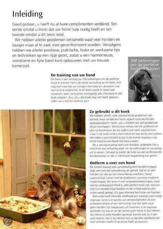 Een hond kijkt omhoog in close-up.