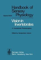 Comparative Physiology and Evolution of Vision in Invertebrates: A