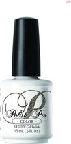 NSI Polish Pro Year Of The Horse
