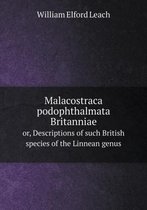 Malacostraca podophthalmata Britanniae or, Descriptions of such British species of the Linnean genus
