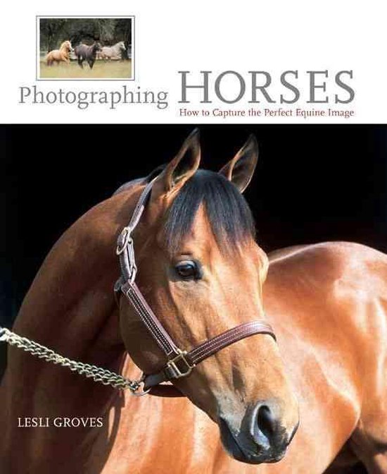 Photographing Horses - cover