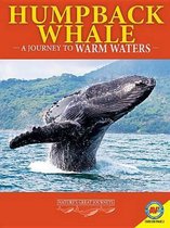 Humpback Whales