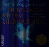 Begegnung mit dem Geistführer
