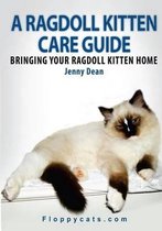 A Ragdoll Kitten Care Guide
