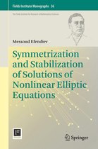 Fields Institute Monographs 36 - Symmetrization and Stabilization of Solutions of Nonlinear Elliptic Equations