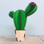 Cactus decoratie - Houten Cactus San Pedro