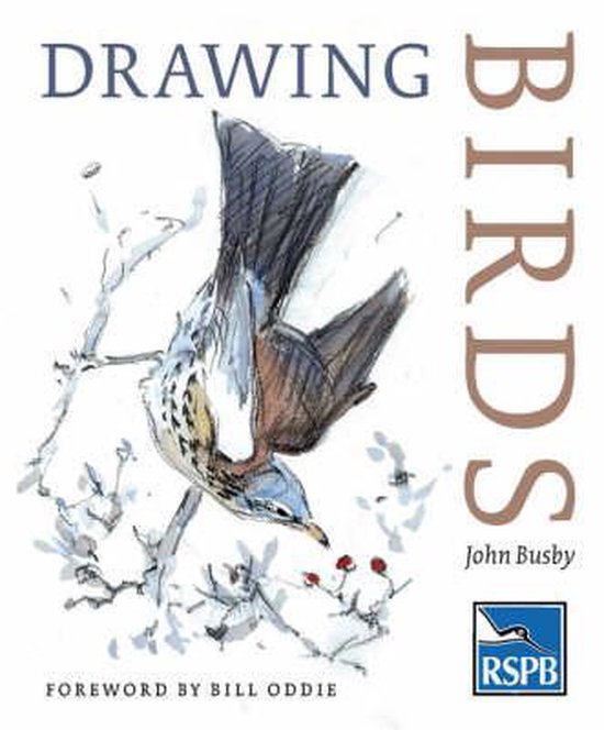 Drawing Birds, John Busby 9780713668162 Boeken