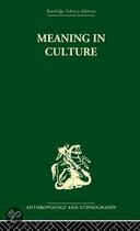 Meaning in Culture