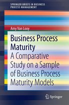 SpringerBriefs in Business Process Management - Business Process Maturity