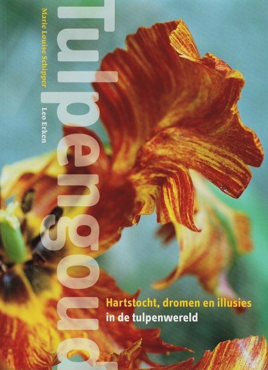 Cover van het boek 'Tulpengoud'