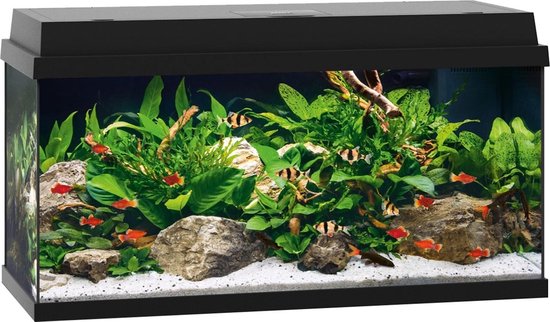 Juwel Primo 110 Aquarium - 81 x 36 x 45 cm - 110 L - Zwart