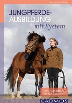 Ausbildung von Pferd und Reiter - Jungpferdeausbildung mit System