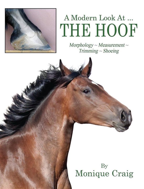 A Modern Look At ... THE HOOF - cover