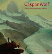 Boekomslag met berglandschap en titel "Caspar Wolf and the Aesthetic Conquest of Nature".