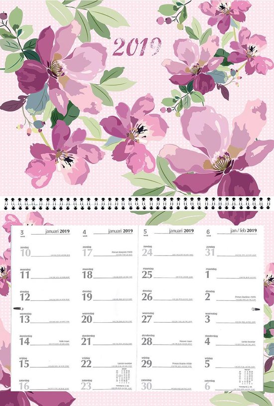 kalf acuut Stoutmoedig 6x Kalender MGP 2019 - Notitie Omleg maandkalender - 4 weken/1 pagina -  roze - 43 x 34 cm | bol.com