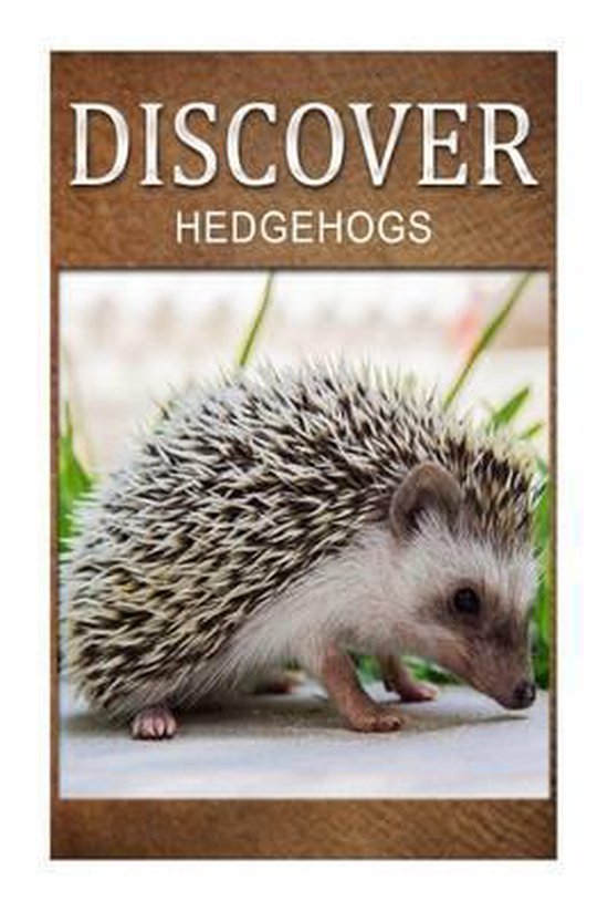 Hedge Hogs - Discover - cover