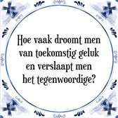 Tegeltje met Spreuk (Tegeltjeswijsheid): Hoe vaak droomt men van toekomstig geluk en verslaapt men het tegenwoordige? + Kado verpakking & Plakhanger