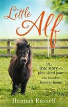 Little Alf The true story of a pintsized pony who found his forever home