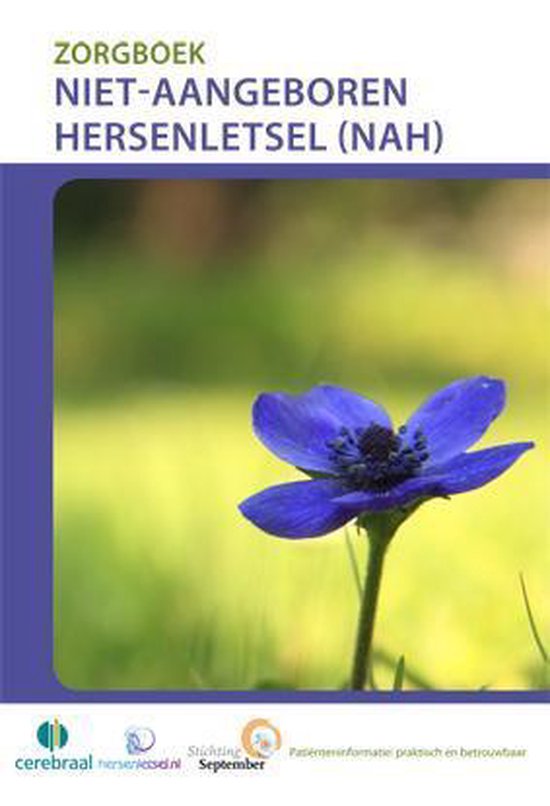 Zorgboek - Niet-aangeboren hersenletsel - E.H. Coene | Northernlights300.org