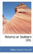 Pictures or Southern Life,