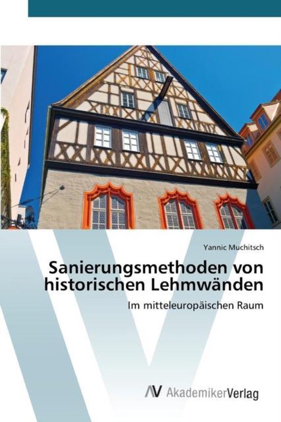 Sanierungsmethoden von historischen Lehmwänden - cover