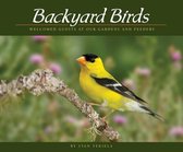 Wildlife Appreciation - Backyard Birds