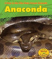 Anaconda (A Day in the Life