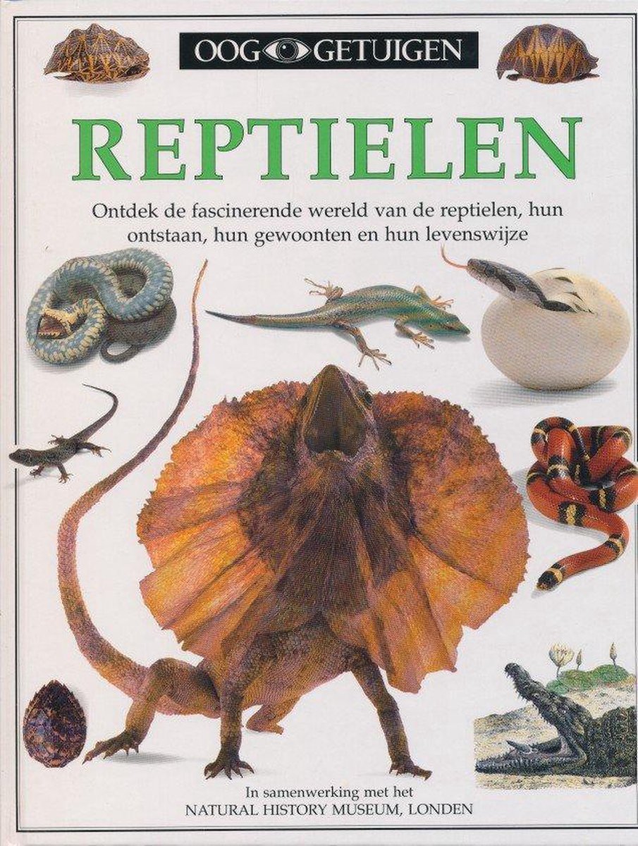 Reptielen, Maccarthy | 9789002190568 | |