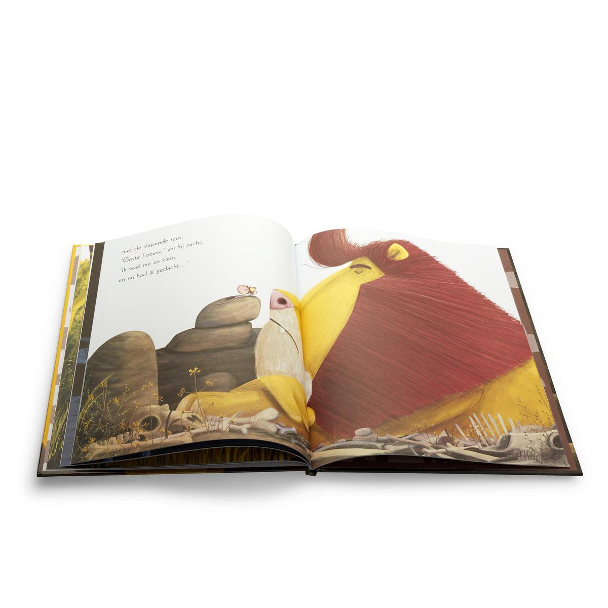 De leeuw in de muis — cadeau in Boeken - foto 6