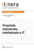 Proprietà industriale, intellettuale IT