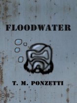 Floodwater