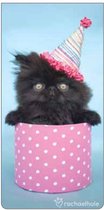 Magnetische boekenlegger: Sam (kitten)