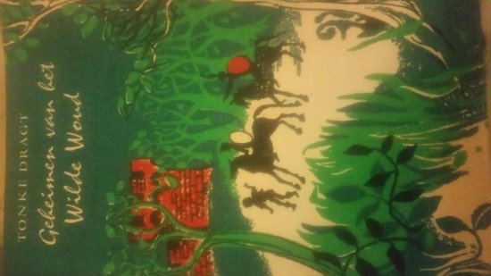 Geheimen van het wilde woud, Tonke Dragt | 9789025832537 | Boeken | bol
