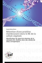 R�tention d'Une Prot�ine Membranaire Dans Le Re de la Cellule V�g�tale